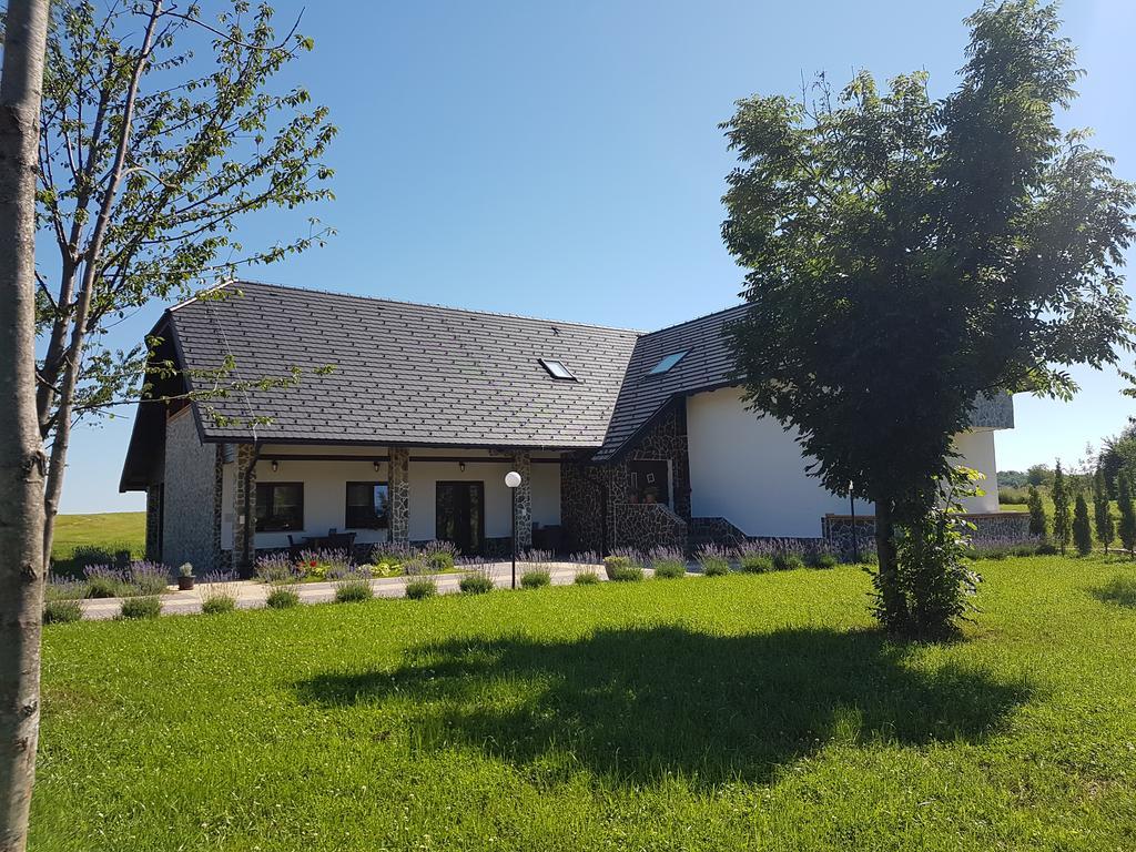 Villa Stone Rakovica Exterior foto