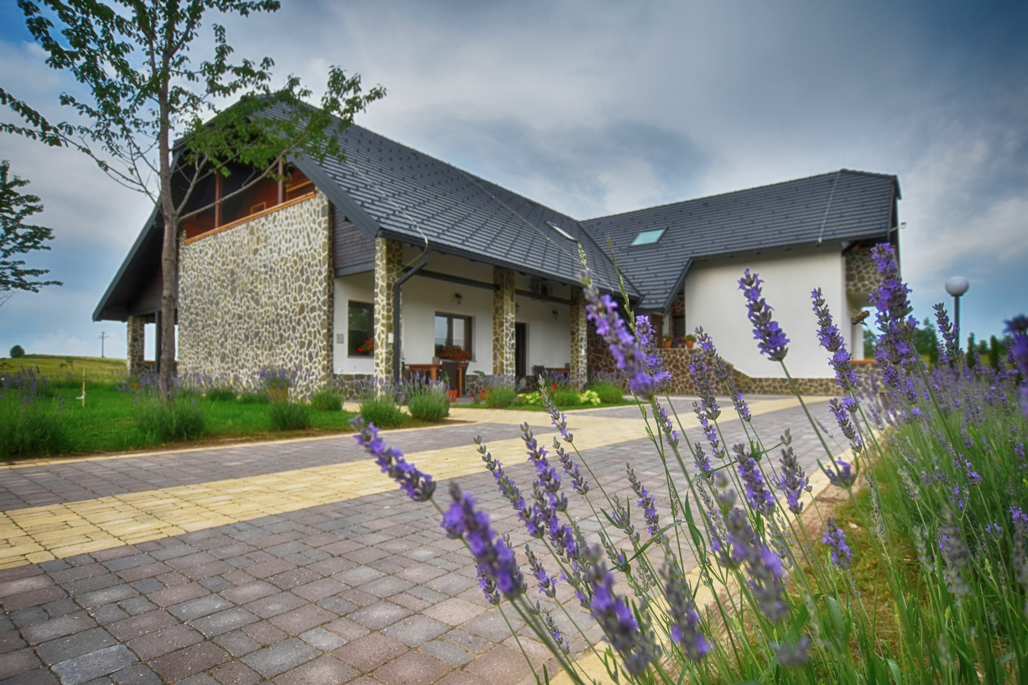 Villa Stone Rakovica Exterior foto